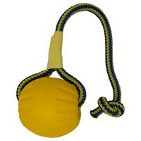 Starmark swing &apos;n fling durafoam fetch bal aan koord - thumbnail