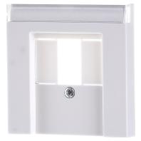 Gira inzetplaat voor USB - stereoaansluiting55 zuiver wit glanzend 087603