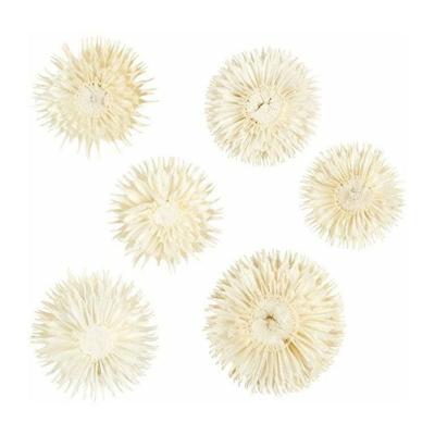 Creativ Company Https://www.cchobby.nl/gedroogde-bloemen-d-3-5-cm-6-stuk-1-doos