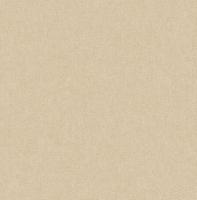 Dutch Wallcoverings Sauvage Uni - Beige - thumbnail