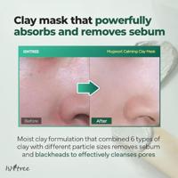 Isntree Mugwort Calming Clay Mask 100 ml Masker - thumbnail