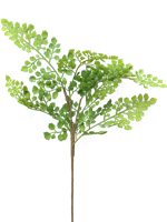 Fern Maiden Hair lvs green 53 cm kunstbloem Erutan Avon - Erutan avon - thumbnail
