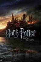 Poster Harry Potter - and the Deathly Hallows 61x91,5cm - thumbnail