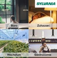 PHILIPS - LED Lamp E27 - Corepro LEDbulb E27 Peer Mat 8W 806lm - 840 Natuurlijk Wit 4000K | Vervangt 60W - thumbnail