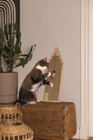 Designed by Lotte krabplank Berit - thumbnail