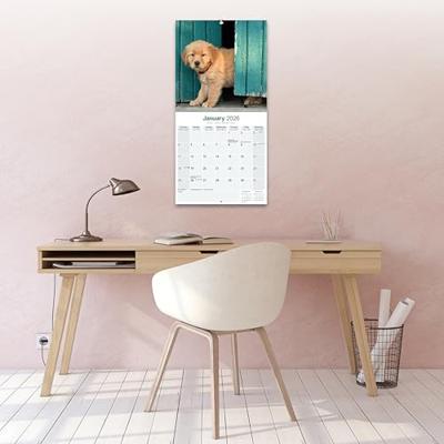 Golden Retriever Calendar 2026 Square Dog Breed Wall Calendar - 16 Month