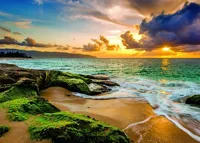 Alexsar Art Tuinschilderij mossy beach 70x50cm - thumbnail