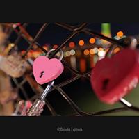 Panasonic Lumix S 14-28mm F/4-5.6 Macro - thumbnail