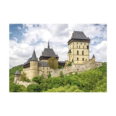 DinoToys Dino puzzel - kasteel karlstejn in tsjechië - 500 stukjes
