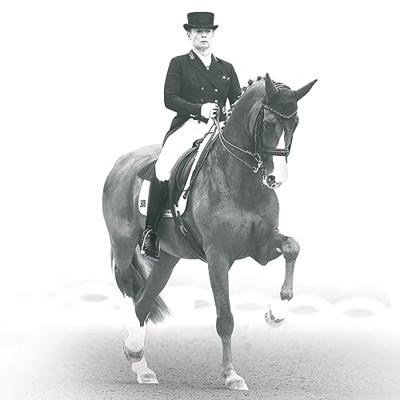 Veredus Absolute Elastic achterbeenbeschermers zwart maat:l