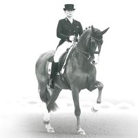 Veredus Absolute Elastic achterbeenbeschermers zwart maat:l - thumbnail