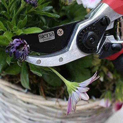 Siena Garden CG2020 Tuinschaar 21.5 cm Bypass