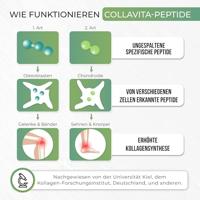 Collavita Vital Support 320gr - thumbnail