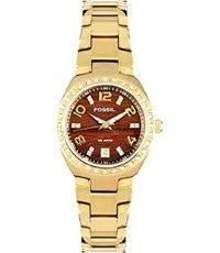 Horlogeband Fossil AM4176 Roestvrij staal (RVS) Doublé 18mm