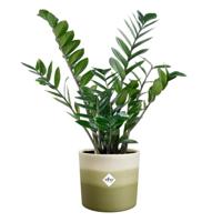 Elho colour gradient round 18 bamboe groen - thumbnail