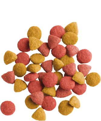 Versele-Laga Lara Adult Sterilised kip kattenvoer 10 kg Versele-Laga Lara Adult Sterilised kip kattenvoer 10 kg