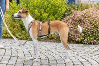 Trixie paniekadapter stay voor tuigen zwart - thumbnail