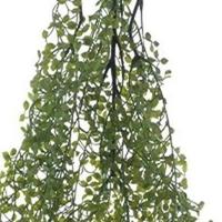 Hanging button leaf dk green 95 cm kunstbloem Erutan Avon - Erutan avon - thumbnail