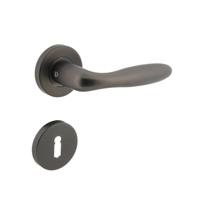 Deurkruk Jupiter op geveerde stalen rozet met nokken ø53x8mm en sleutelplaatjes rvs antraciet-grijs - thumbnail