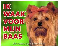 Yorkshire Terrier Waakbord - Ik waak voor mijn baas - thumbnail
