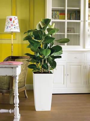 LECHUZA Jardiniere Cubico Kleur 40 ALL-IN-ONE Leisteen 13158 421429