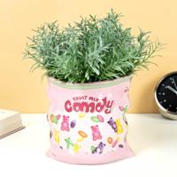 Snoepzak bloempot - thumbnail