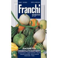 Sierkalebas Zucchetta Ornamentale 359/1 zaden Franchi - Franchi - thumbnail