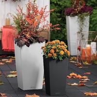 Bloempot Lechuza - thumbnail