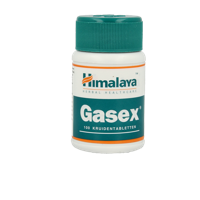 Holisan Gasex 100 Tabletten - thumbnail