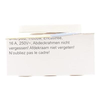 Kopp 113613087 Wandcontactdoos met randaarde Inzetstuk Europa Arctisch-wit, Mat 1 stuk(s)