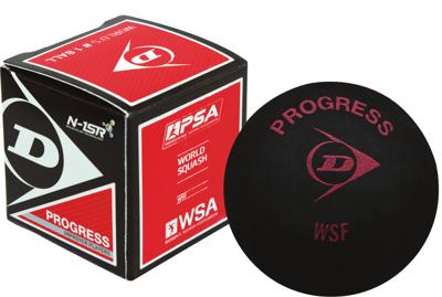 Dunlop Squashball Progress