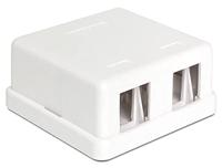 DeLOCK Keystone Surface Mounted Box 2 Port behuizing - thumbnail