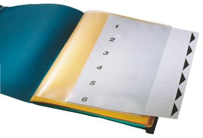 Leitz Ordnerhangmap Alpha Divide It UP DIN A4 Blauw 18900035 1 stuk(s) Leitz Ordnerhangmap Alpha Divide It UP DIN A4 Blauw 18900035 1 stuk(s)