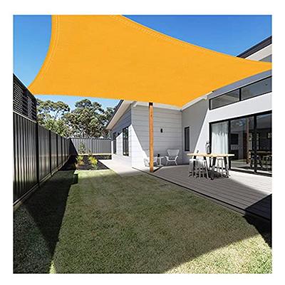 Rode beveerde beukenboom