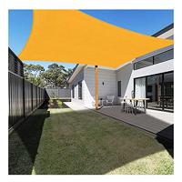 Rode beveerde beukenboom - thumbnail