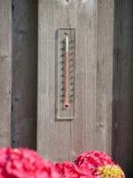 Nature thermometer plexiglas - thumbnail
