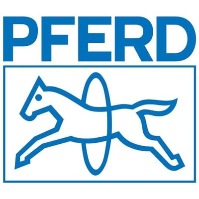 PFERD TOOLS 15842112 Set naaldvijlen 1 stuk(s)