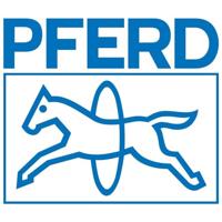 PFERD TOOLS 15842112 Set naaldvijlen 1 stuk(s) - thumbnail