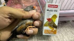 BEAPHAR MULTI-VIT VOGEL 50 ML BEAPHAR MULTI-VIT VOGEL 50 ML