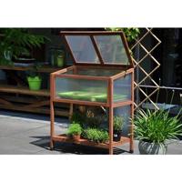 Red Leaf kweekkas - thumbnail