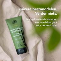 Urtekram Blown Away Intense Moisture Conditioner Wild Lemongrass - thumbnail