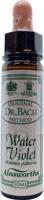 Ainsworths Water violet Bach 10 Milliliter - thumbnail