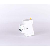 Schneider Electric A9D17232 Aardlekschakelaar/zekeringautomaat 32 A 0.03 A 240 V - thumbnail