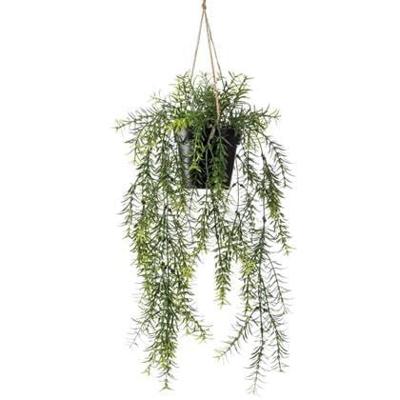 Zijdeplant Hangplant met pot Asparagus kunstplant Driesprong Collection - Driesprong collection
