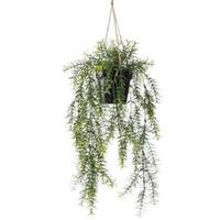 Zijdeplant Hangplant met pot Asparagus kunstplant Driesprong Collection - Driesprong collection - thumbnail