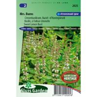 Citroen basilicum zaden Mrs. Burns - thumbnail