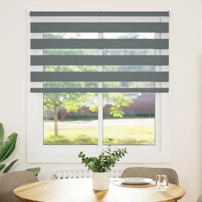 VidaXL Zebra rolgordijn 125x100 cm stofbreedte 120,9 cm donkergrijs VidaXL Zebra rolgordijn 125x100 cm stofbreedte 120,9 cm donkergrijs