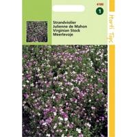 Zaden Cheiranthus Strandviolier gemengd Hortitops - Hortitops - thumbnail