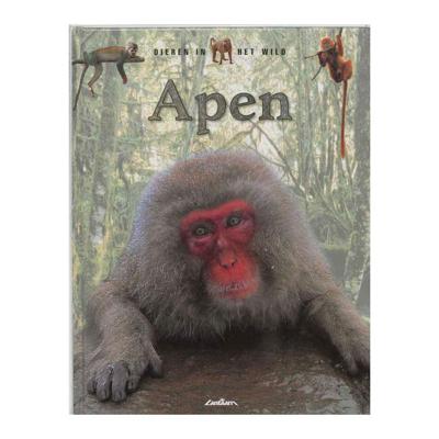 Lantaarn Publishers Dieren in het wild - apen Lantaarn Publishers Dieren in het wild - apen