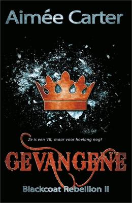 Gevangene - Aimée Carter - ebook